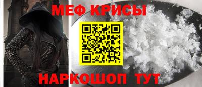 крисы Камышлов