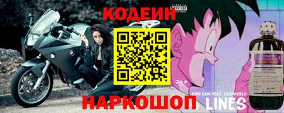 крисы Камышлов