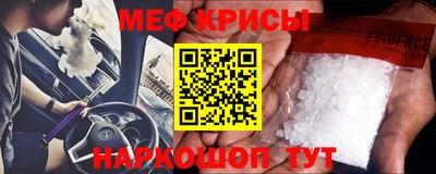 крисы Камышлов