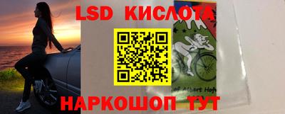 крисы Камышлов