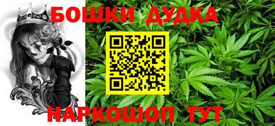 крисы Камышлов