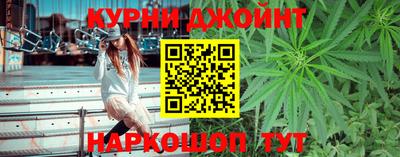 крисы Камышлов