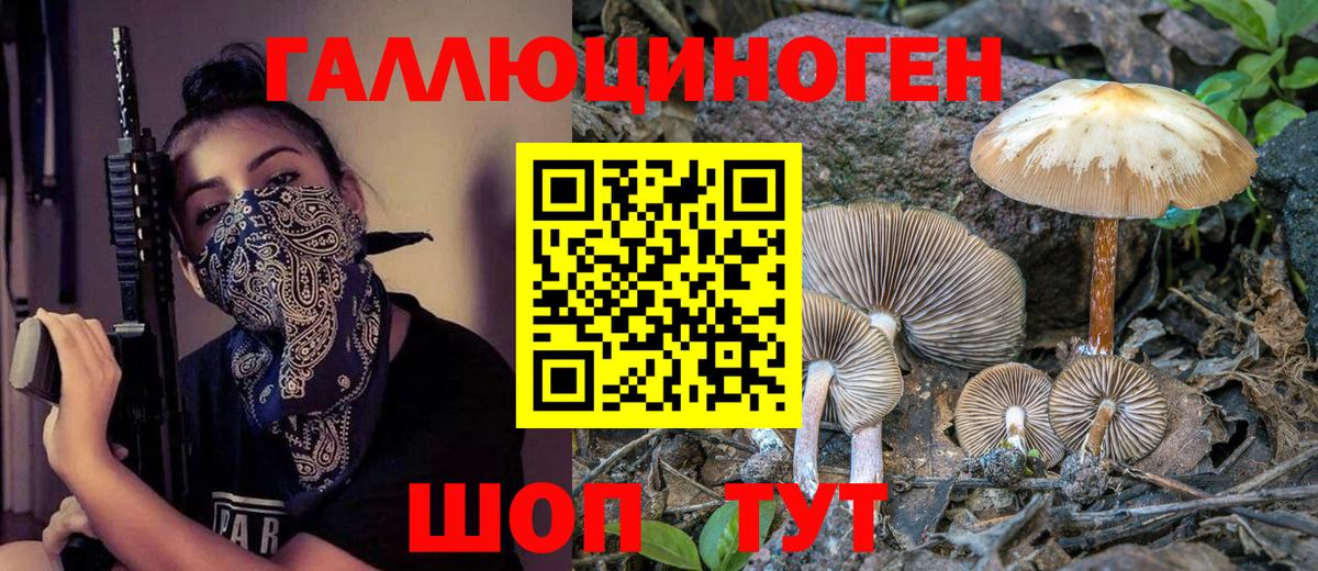 Галлюциногенные грибы ЛСД  закладка  Энгельс  Вход с VPN 